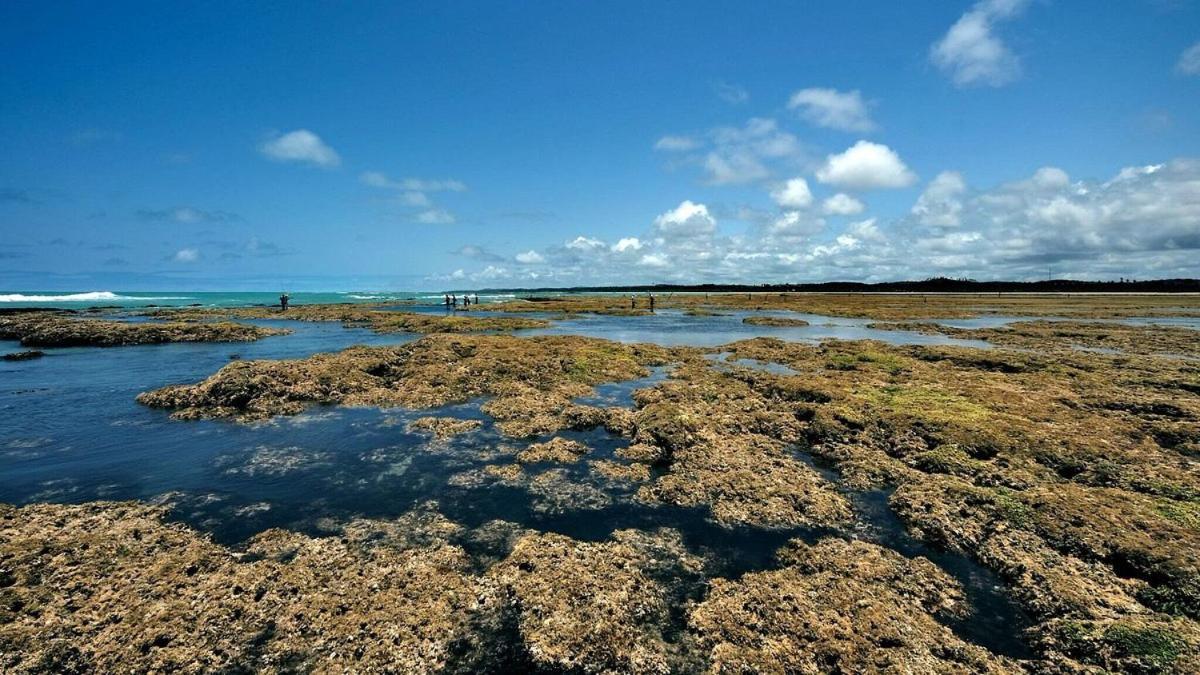 Abaetetuba Pousada São Miguel dos Milagres Eksteriør billede